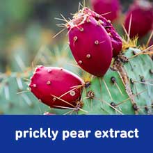 Small manufacture image 8