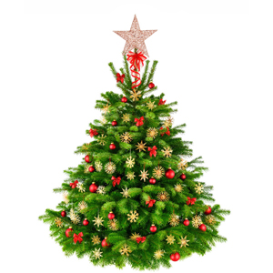 Small manufacture image 5