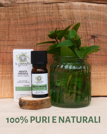 olio essenziale menta piperita e pianta di menta piperita