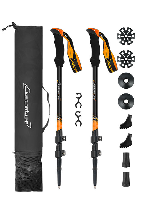 Trekking pole