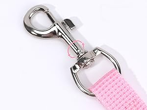 cat harness and leash