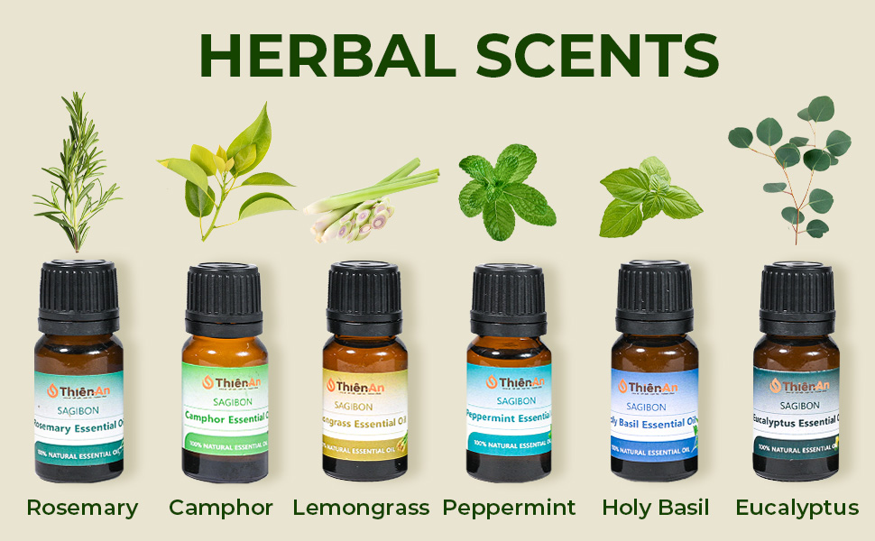 THIEN AN Car Air Fresheners Set Rosemary and Eucalyptus