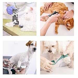 cover bandaids black tail cats licking wounds pink