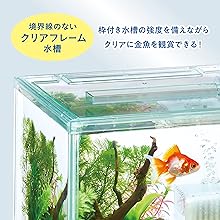 水槽 TenNobu I bought a small aquarium I found on Amazon and set it up
