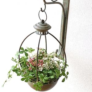 ウォールプランター レトロブラウン ヨーロピアン Amazon.co.jp: ハンギングプランター アイアン 壁掛け プランター