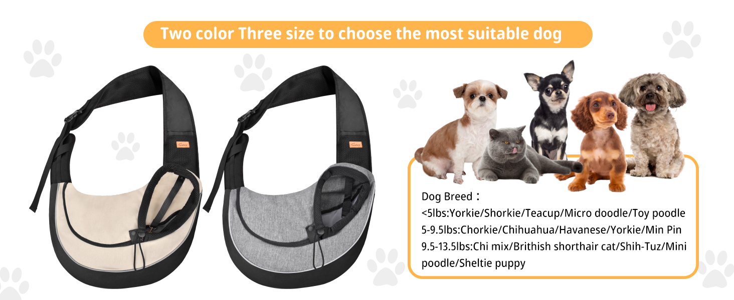 dog carrier