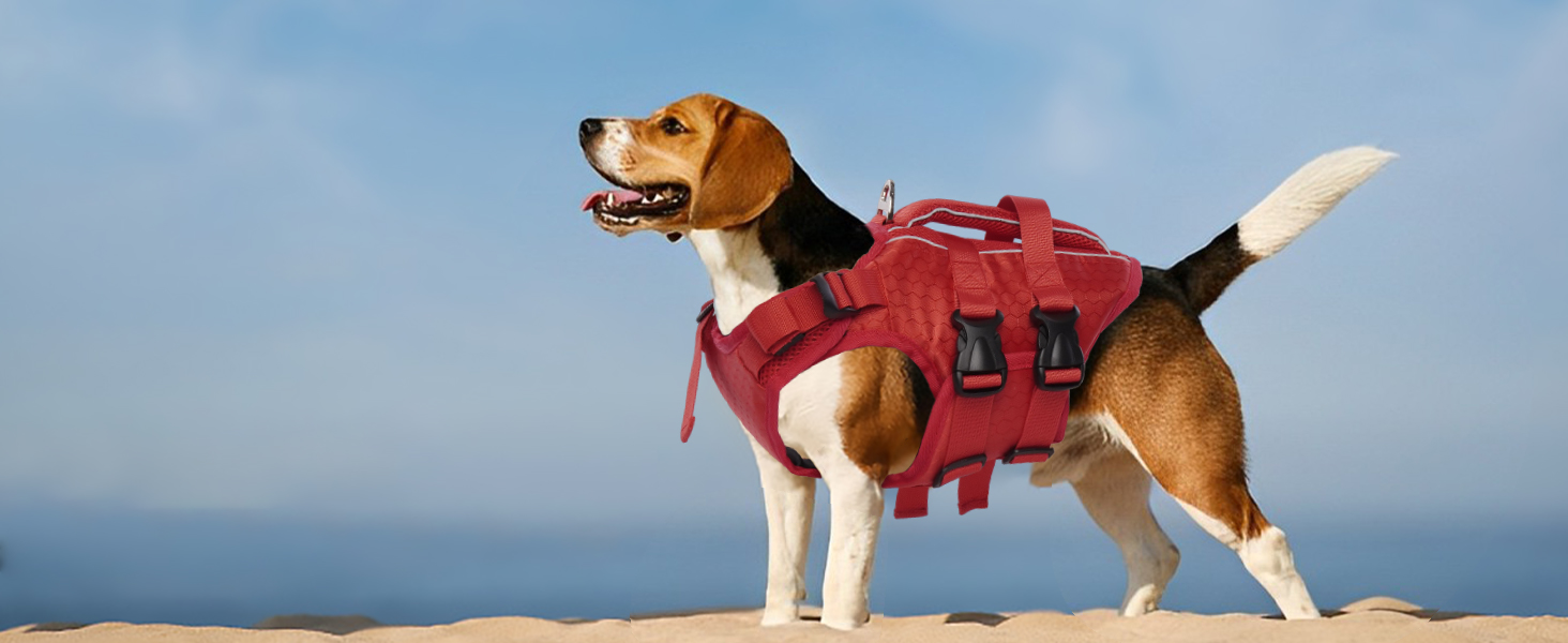 dog life jacket