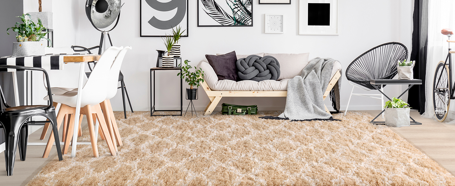 Keeko 5x8 Living Room Area Rug, Beige and White Fluffy