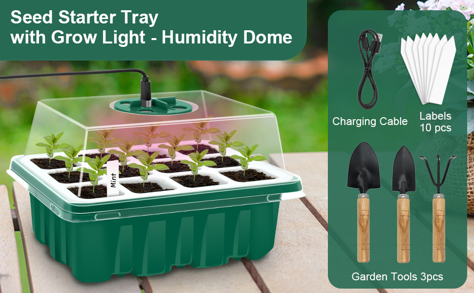 Seed Starter Tray Kit with Grow Light 12 Flexible Pop