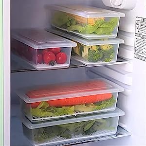 food storage containers