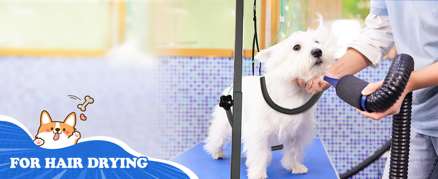 dog grooming table for small dogs at home foldable