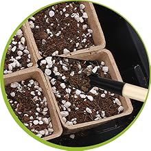 seed starter tray