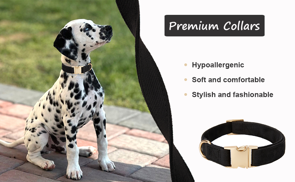 black dog collar soft