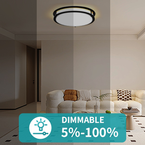 ceiling light