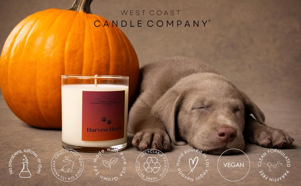 Pet Friendly Candle Pet Safe Candle All Natural Soy Candle NonToxic Candle