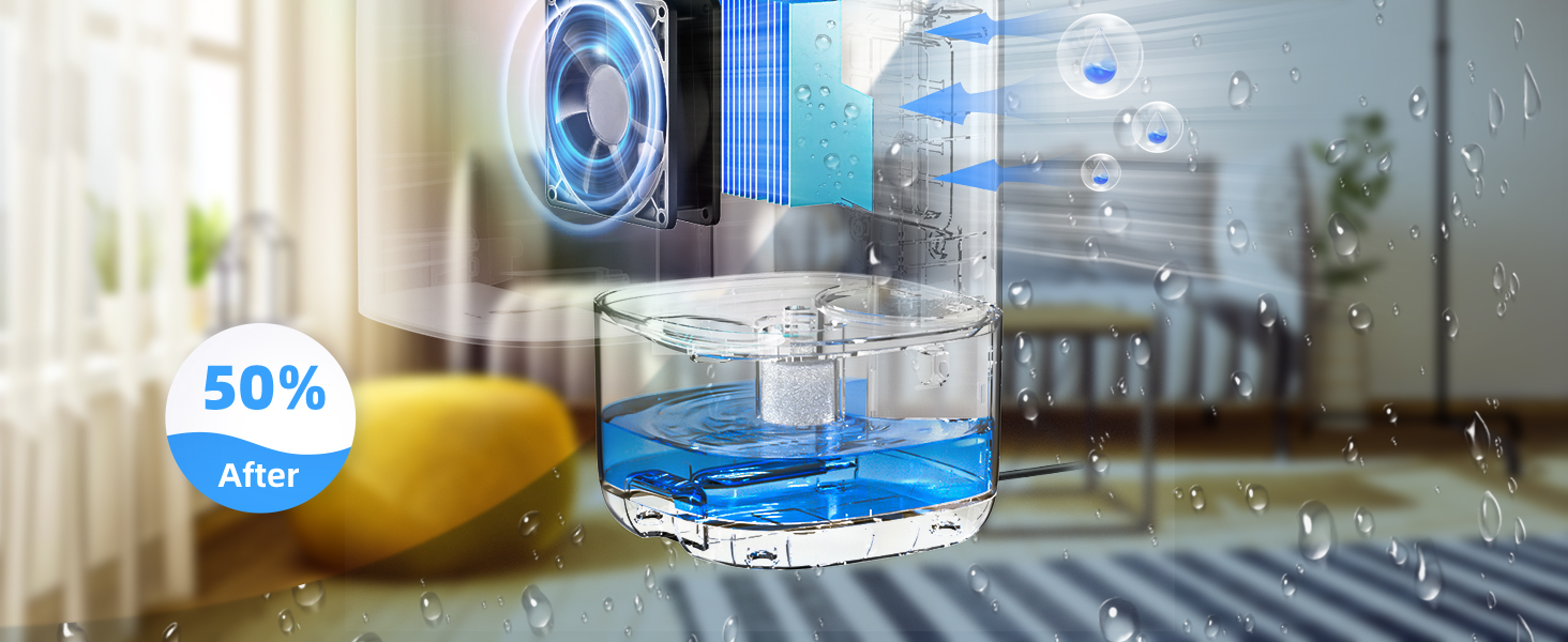 dehumidifiers for home