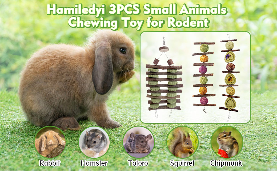 Hamiledyi Bunny Chew Toys Rabbit Hanging Toys for Teeth