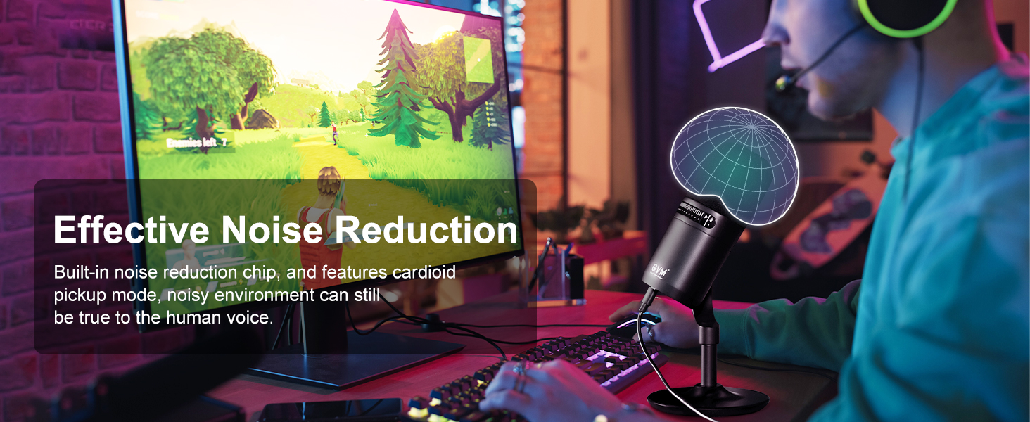 Professional noise reduction