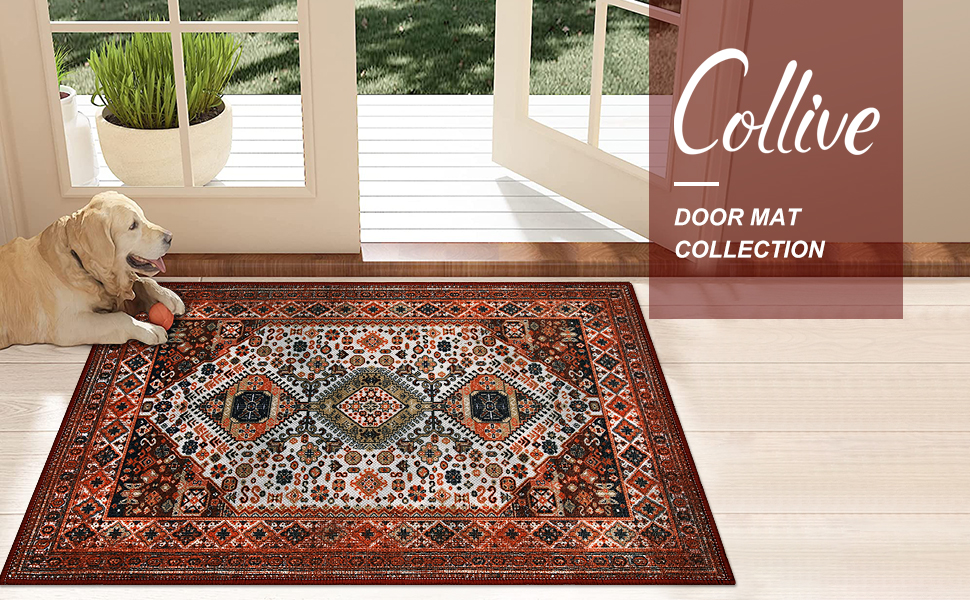 Collive Indoor Door Mat Retro Floor Mat, Non Slip Washable Doormat Large Size
