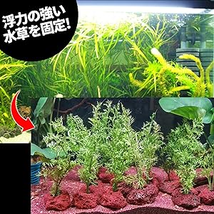 Amazon | TOMMYFIELD 水草 おもり 溶岩石 水槽 アクアリウム