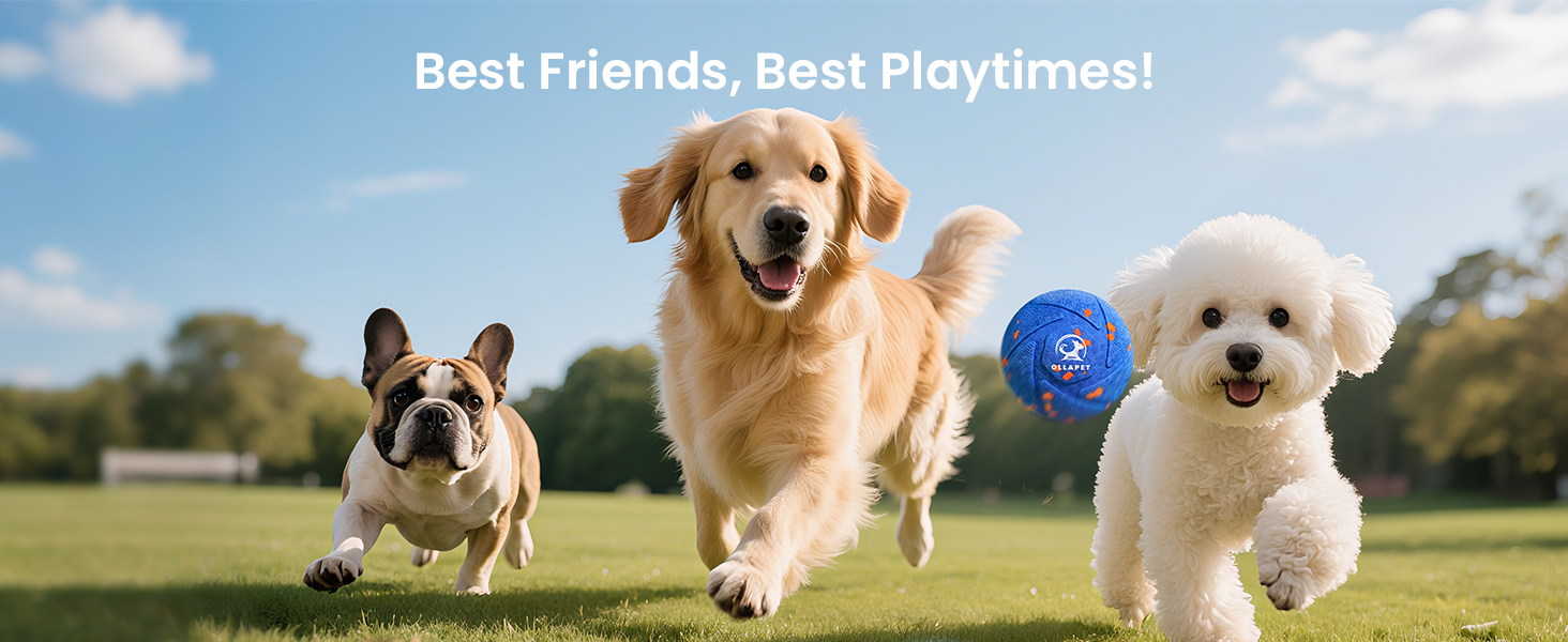 Interactive Dog Toy Ball