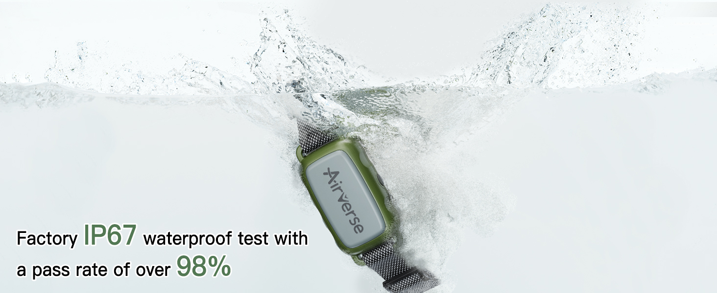 Waterproof Dog Training Collar with Remote