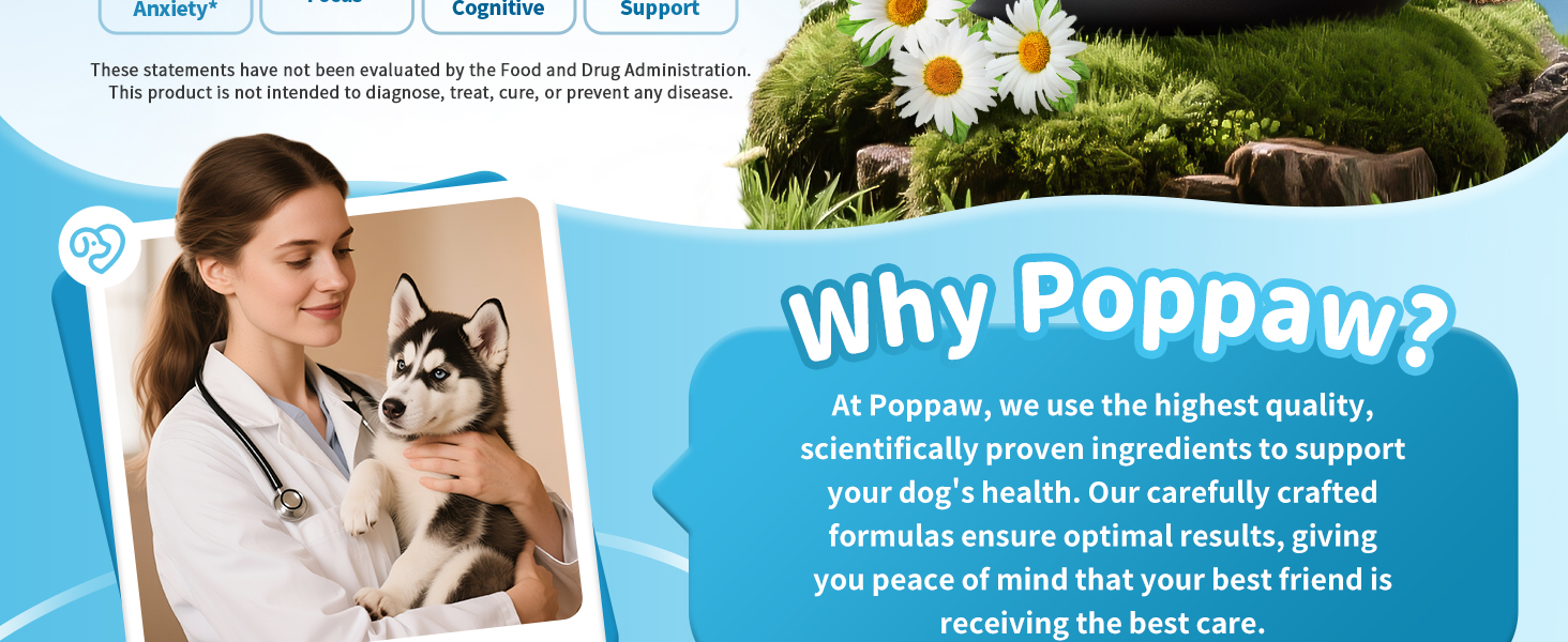 calming chews for dogs