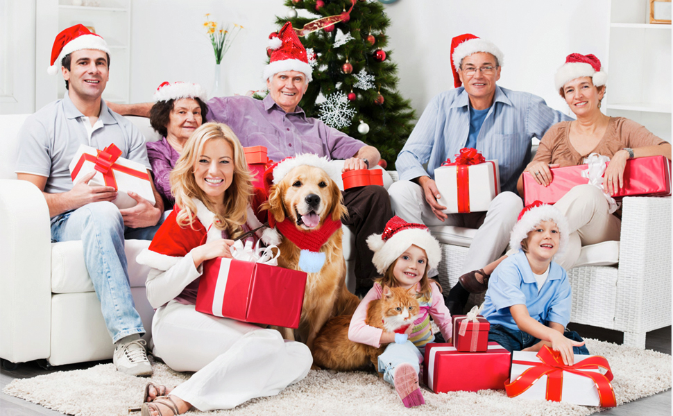 Naler Christmas Pet Scarf Christmas Pet Santa Red Scarf Christmas Pet Accessories for Cats, Dogs, and Other Pets for Christmas Party Favor Supplies,L 14 1