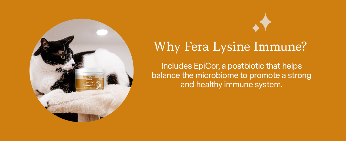 Includes EpiCor, a postbiotic that helps the microbiome to promote a healthy immune system
