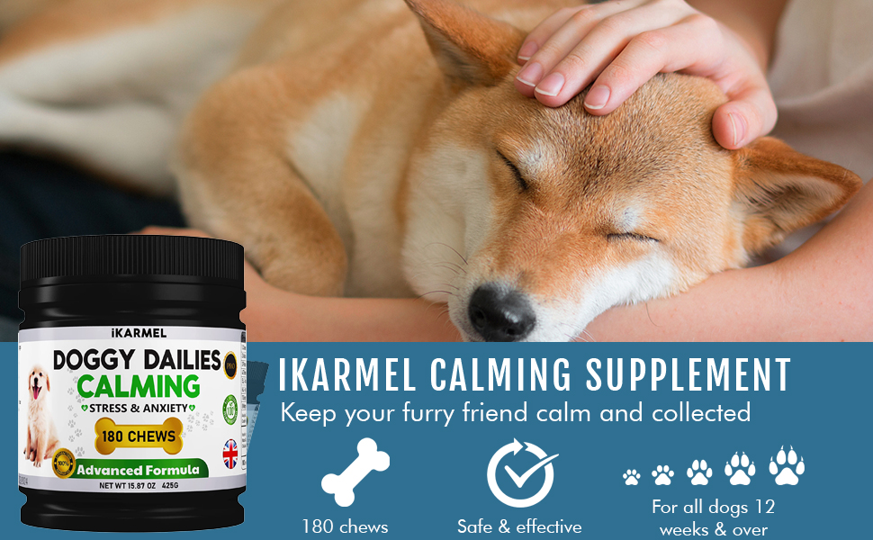 Doggy Dailies Dog Calming Products Anxiety Support Anti Stress