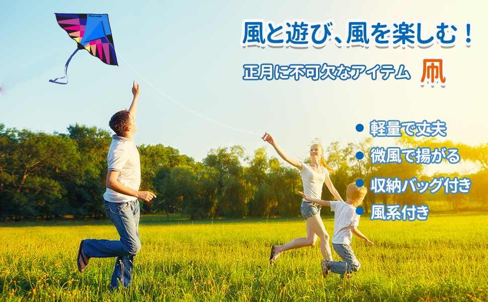 凧 カイト 子ども 凧揚げ 大人 初心者用 微風で揚がる 軽量丈夫 アウトドア 親子おもちゃ カラフルカイト
