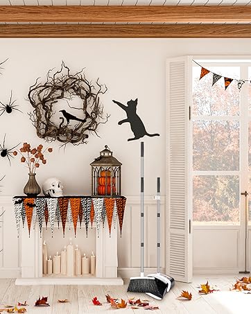 broom and dustpan set