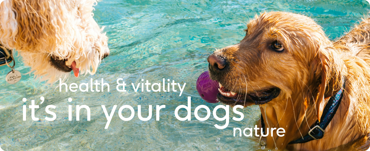 Large manufacture image 6