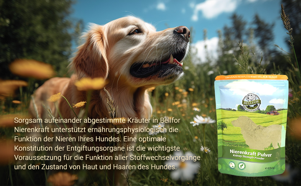 Nahrungsergänzung für Hunde - Nierenkraft von Bellfor Hundefutter - Pulver