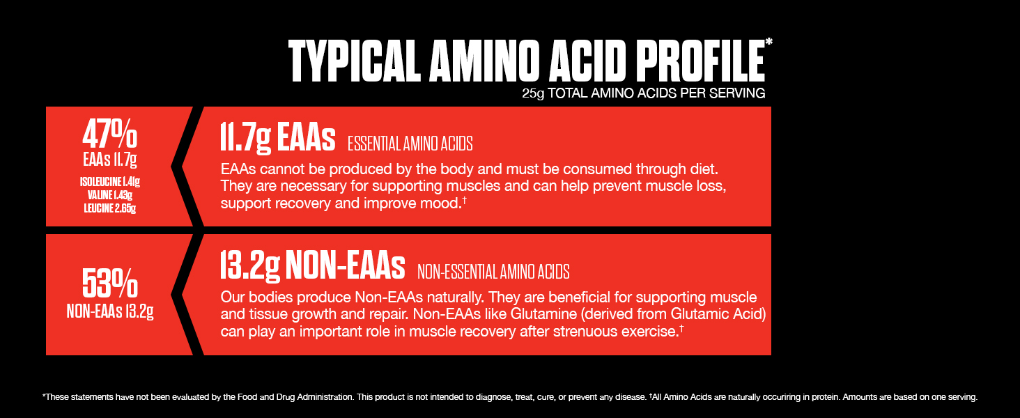 The Curse, JNX Sports, Whey Protein, Creatine, Beta Alanine, Whey Protein, Isolate, Supplement