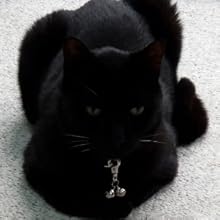 cat bell