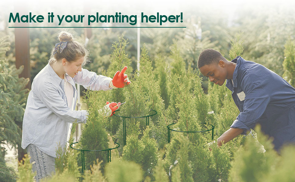 plant supports for potted plants indoor
