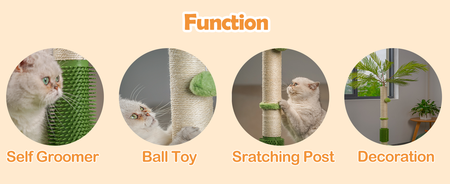 cat scratching post