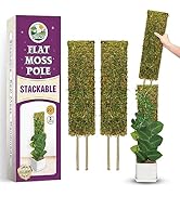 Moss boards Q57 22-23　MOSS STICK Amazon.com : 4 Pack 22 Inch Moss Poles, Stackable Moss Pole
