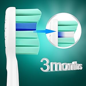 toothbrush heads