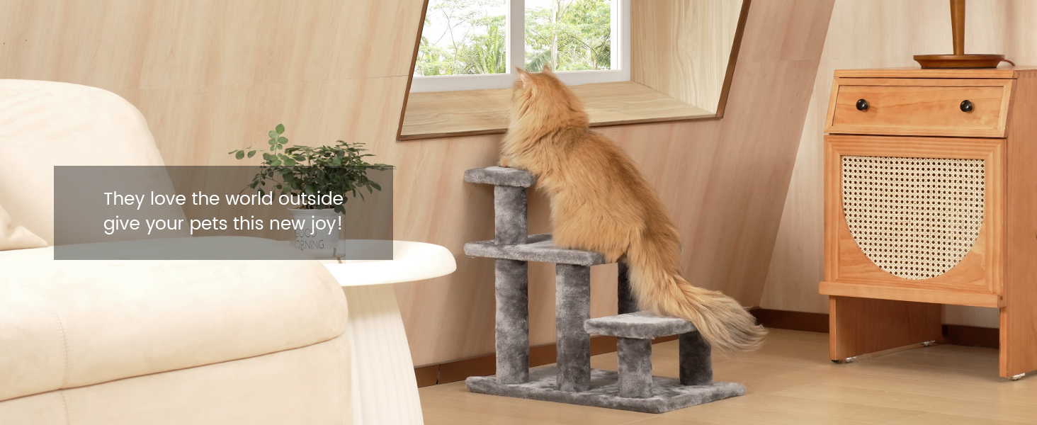 pet stairs