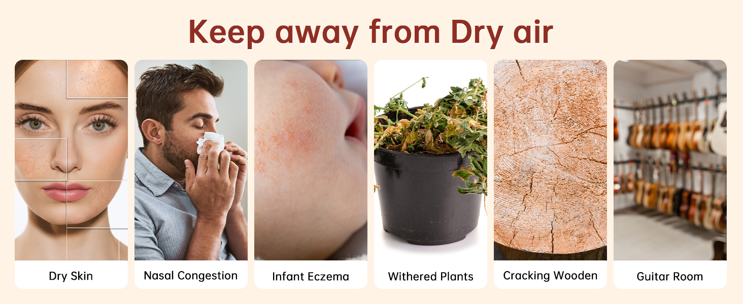 humidifier