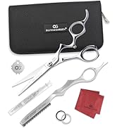 Olivia Garden PrecisionCut Professional Hairdressing Shears Intro Case