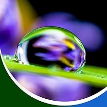 hydrating face wash, 100% natural face wash, organic skin care products, facial cleansers for women