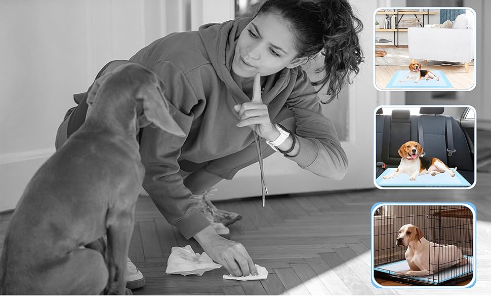 Extra Large Dog Pee Pads, 60 Pads 31"x36" Disposable