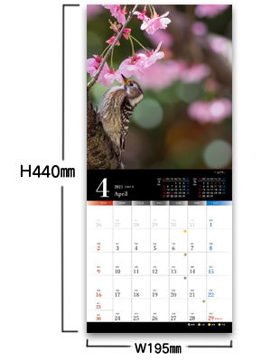 Art of Wildbird 日本の美しい風景と野鳥たち2023|水中 伸浩
