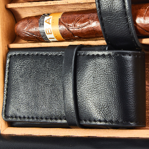 cigar travel case