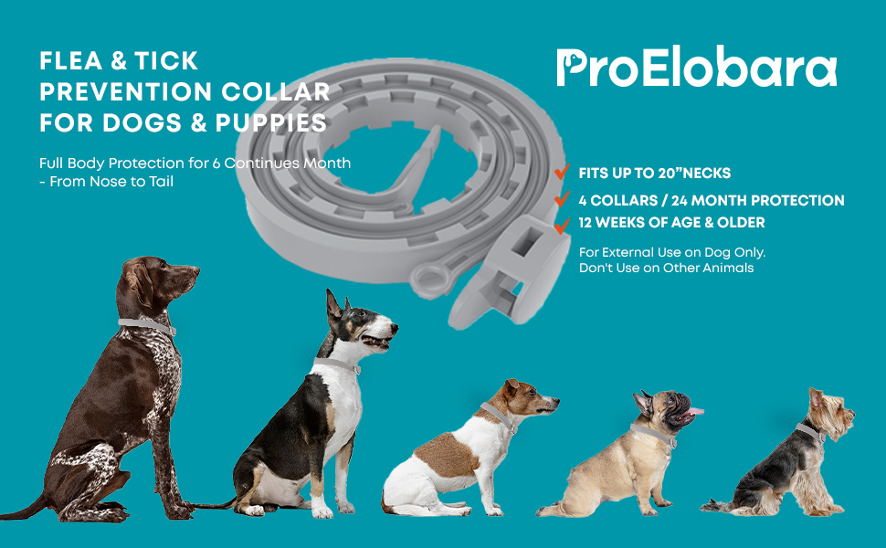 Dog Flea Tick Prevention Collar