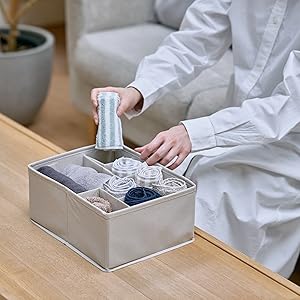 Amazon｜折りたたみマルチ収納BOX（パタパタ） (レッド, S