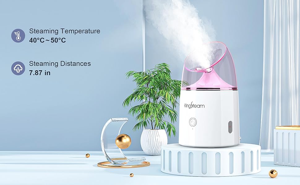Kingsteam lonic Face Steamer, Professional Ozone Facial Steamer for